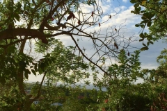 Zen Suite View