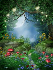 magic mushroom ceremony